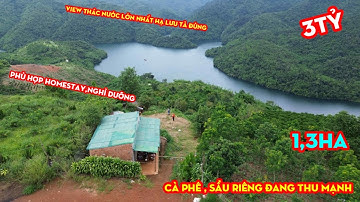 Bán 1ha3 đất vườn Cà Phê đang thu mạnh,View Trực Diện Thác Nước,Cực Phẩm Hạ Lưu Tà Đùng, giá 3 TỶ