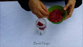 Esp Shaklee Resepi Ohsem Naga Smoothies