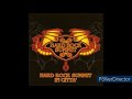 オムニバス VA HARD ROCK SUMIT IN CITTA 2002年8月、川崎クラブ・チッタで行なわれたライヴの模様を収録 豪華アーテイストです!!