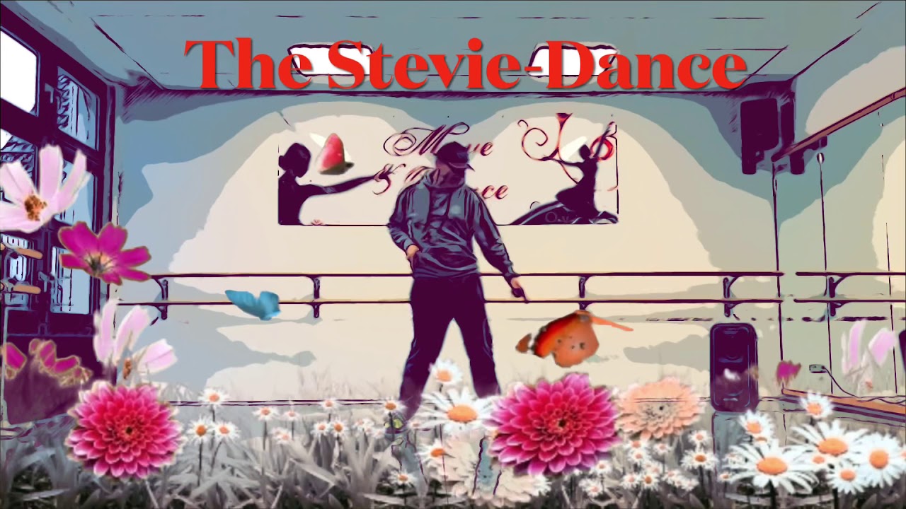 The Stevie Dance (dancing for kids) - Move & Dance Center Coburg
