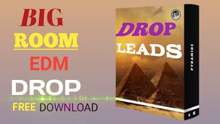 Tapori EDM Drop Leads Sample Packs | EDM Drop Leads  | Free Download | Sample Pack | DjSkRaimuddin