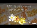 МК Нарциссы из шокомастики 🍃Tutorial gumpaste daffodils