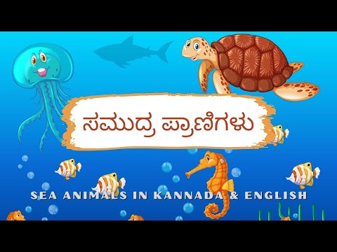 Kannada Learning 15 - ಸಮುದ್ರ ಪ್ರಾಣಿಗಳು- Samudra Pranigalu - Sea Animals Name in Kannada & English