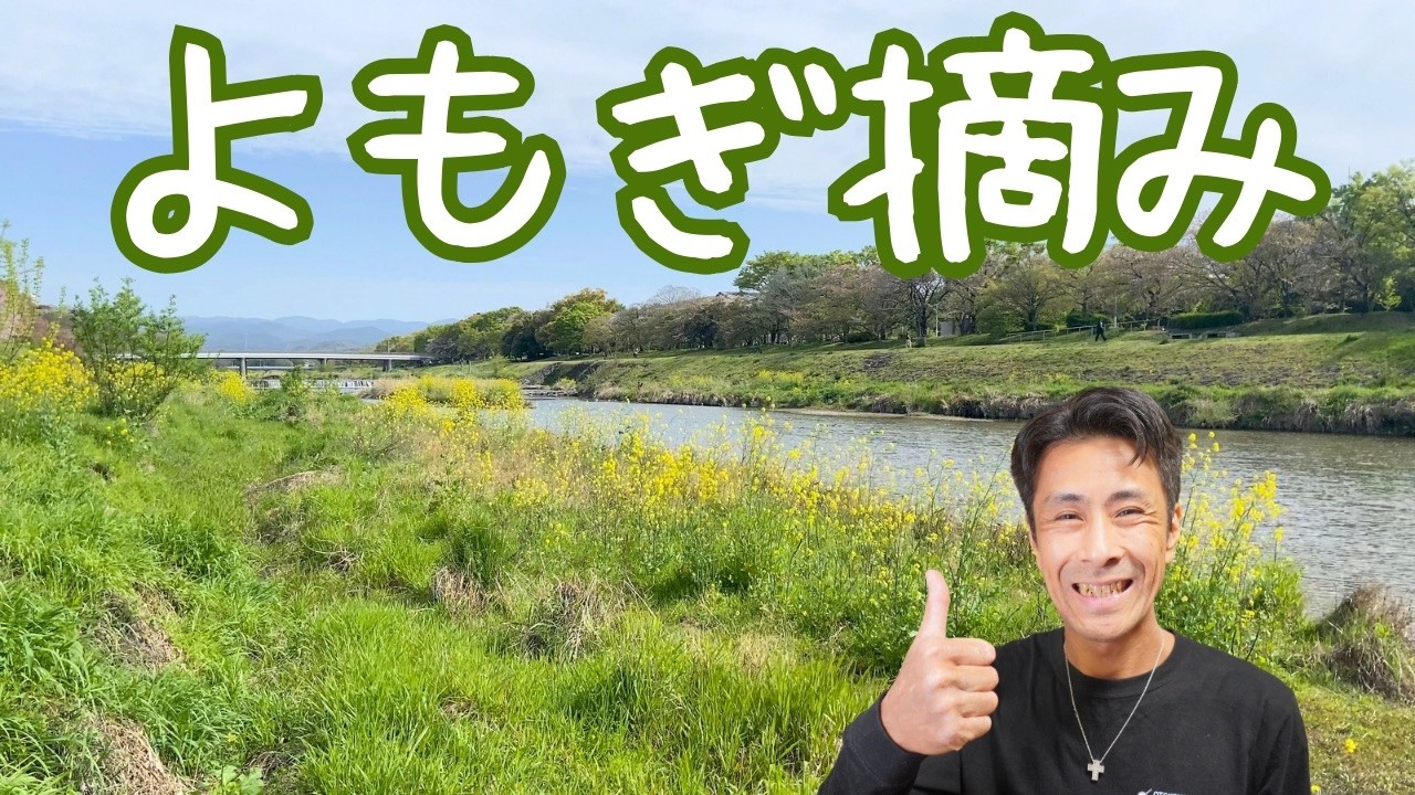 Foraging in Kyoto: How to Identify Mugwort and Make Fresh Mochi