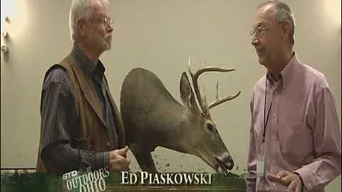 Outdoors Ohio - Taxidermy Part 3