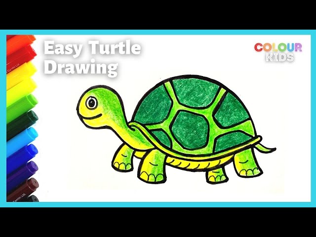 Turtle Coloring Pages - Free Printable Sheets for Kids | Skip To My Lou