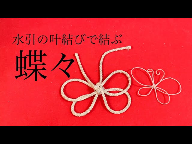 水引】叶結びで蝶々【結び方】 - YouTube