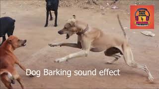 Dog barking sound effect l High quality sound effect l