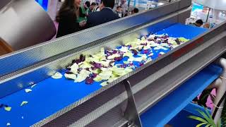 Seenice Intelligent Salad Cabbage Leafy Vegetable Cutting & Washing Line