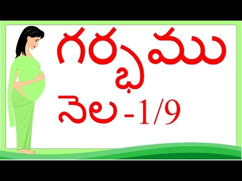 Pregnancy | Telugu | Month 1 |  గర్భం నెల 1