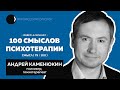 Андрей Каменюкин | Интеграция в CBT, обучение психотерапии, протоколы, Дмитрий Ковпак, МЧС | 79/100