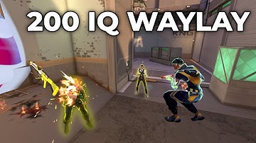 Thinking like an Immortal Waylay