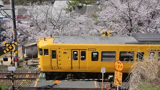 JR西日本 伯備線 国鉄型115系近郊型電車【Full HD】#国鉄型 #115系 #伯備線