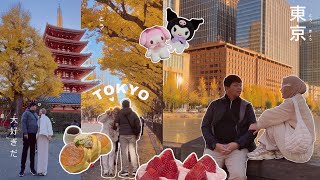 TOKYO JAPAN NOVEMBER DECEMBER AUTUMN DIY TRAVEL VLOG Weather, Temperature, Outfit, Things to do