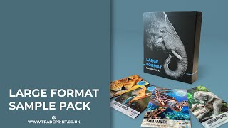 LARGE FORMAT SAMPLE PACK