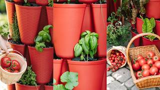 Planting A Pizza Sauce Garden 🍕