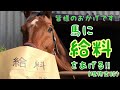 皆様のおかげです!!馬に給料をあげる(現物支給)
