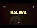 BALIWA DA AGENT Official Lyrics Video