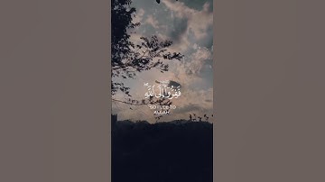 تلاوة عطرة من سورة الذاريات بصوت القارئ احمد النفيس #quran #قرآن #تلاوة_خاشعة #اذكروا_الله_يذكركم