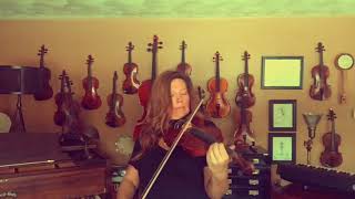 Sarah The Fiddler - The Orange Juice Seller Vahid Matejko