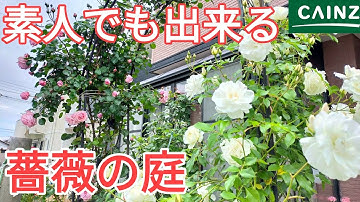 バラアーチ Youtube