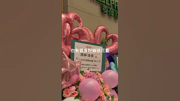 酒井法子香港演唱會2024 童年女神 