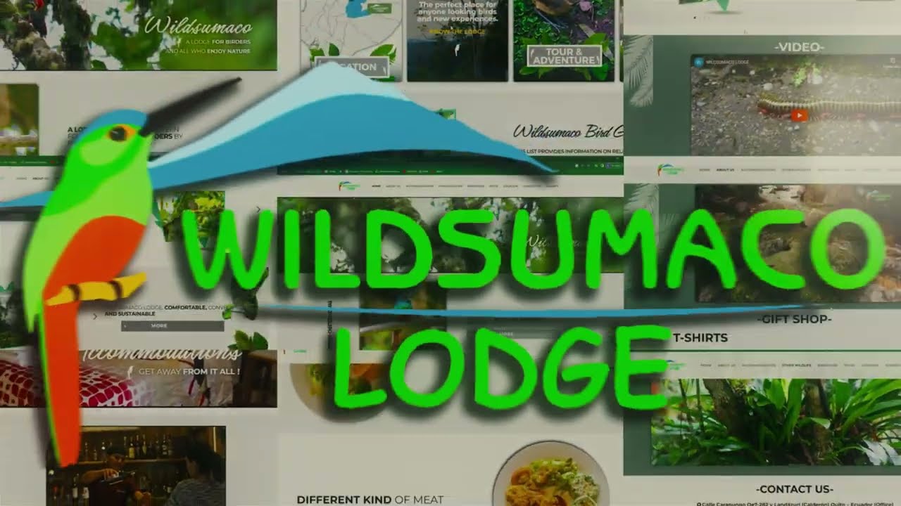 Wildsumaco Lodge