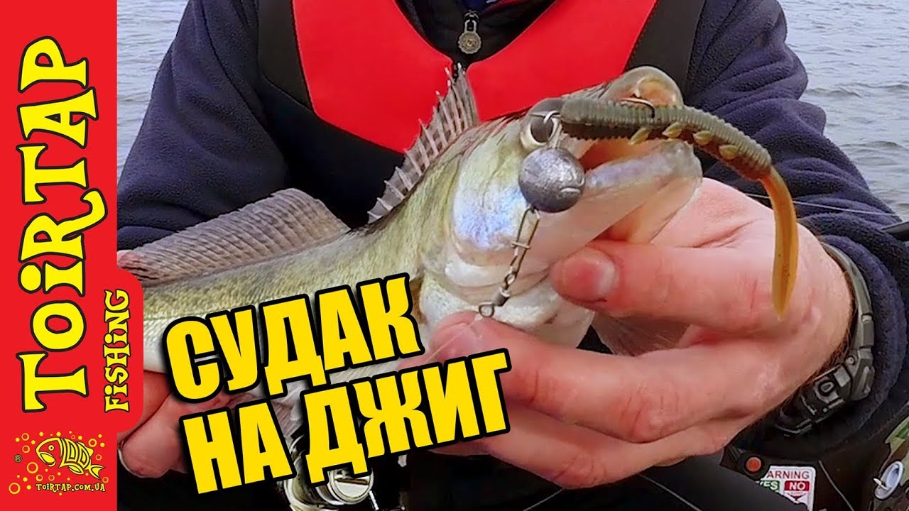 Тестируем приманку STINGER от ТМ TOIRTAP. Судак ранней весной на джиг ...
