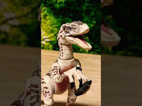 Excuse me!!! #velociraptor #scorpiosrex #jurassicworld #funnyvideo #actionfigures #comedy #dinosaur