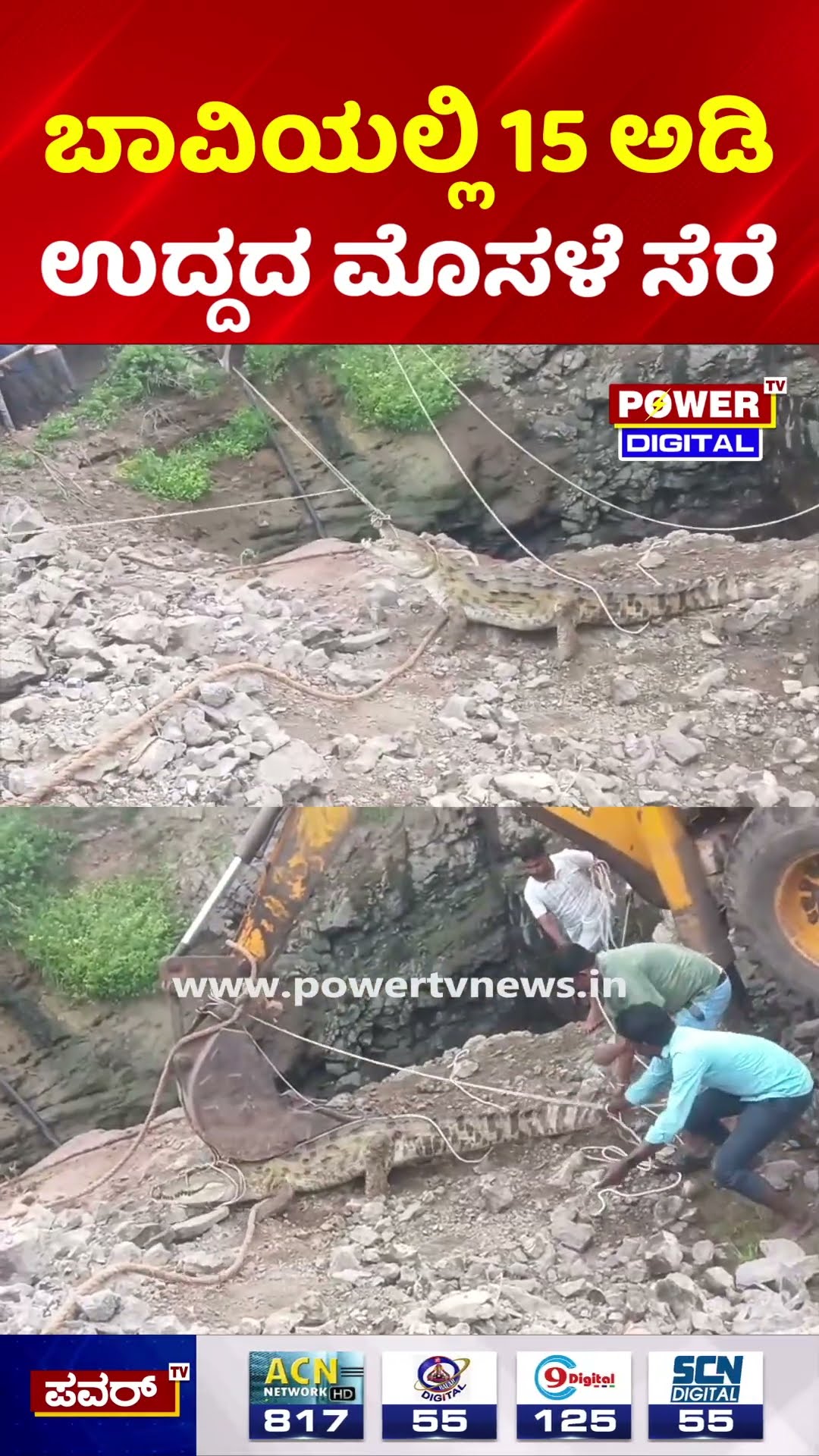 Crocodile Rescue | ಬೆಳಗಾವಿ ರಾಯಬಾಗದಲ್ಲಿ 15 ಅಡಿ ಉದ್ದದ ಮೊಸಳೆ ಬಾವಿಯಲ್ಲಿ ಪತ್ತೆ!