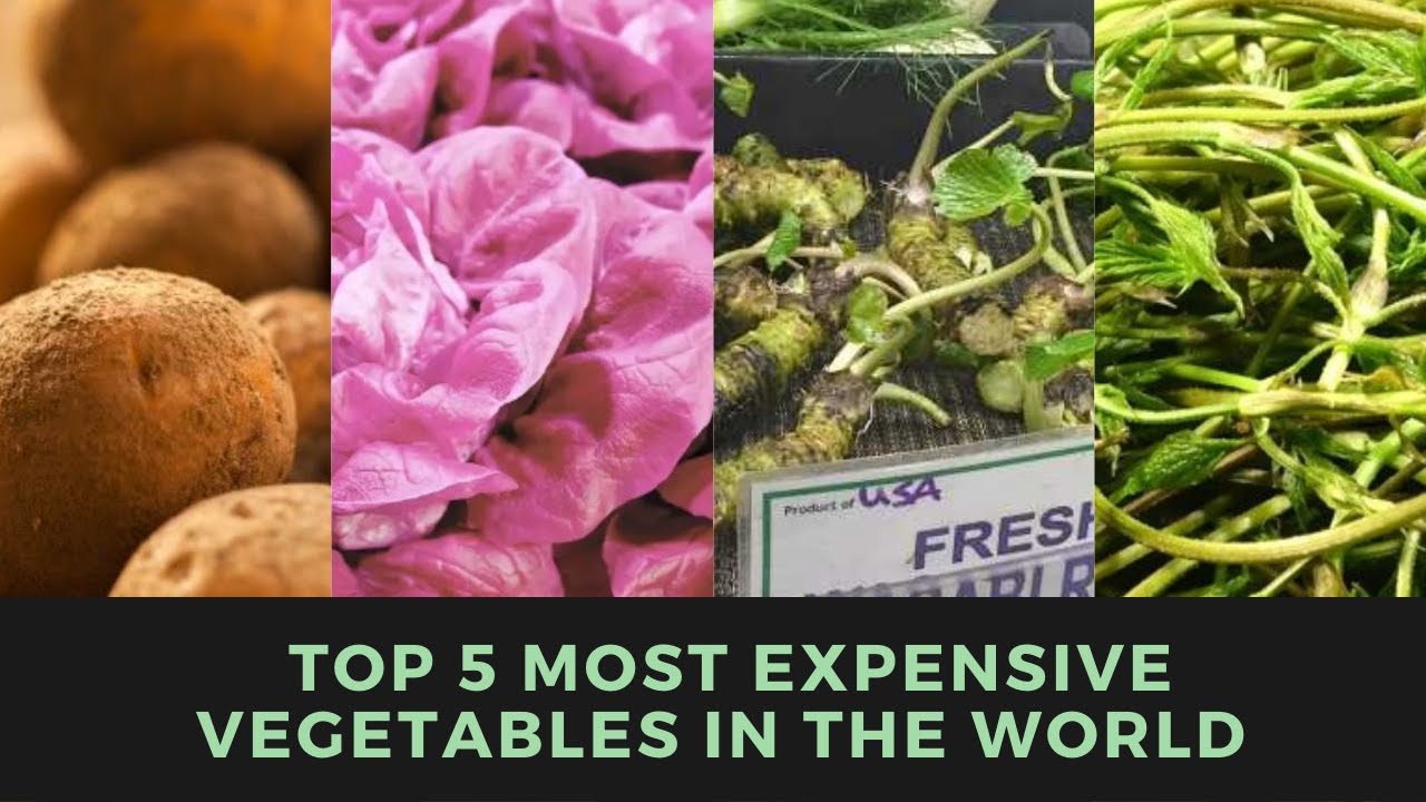 Top 5 Most expensive Vegetables in The World. Majestic Life YouTube