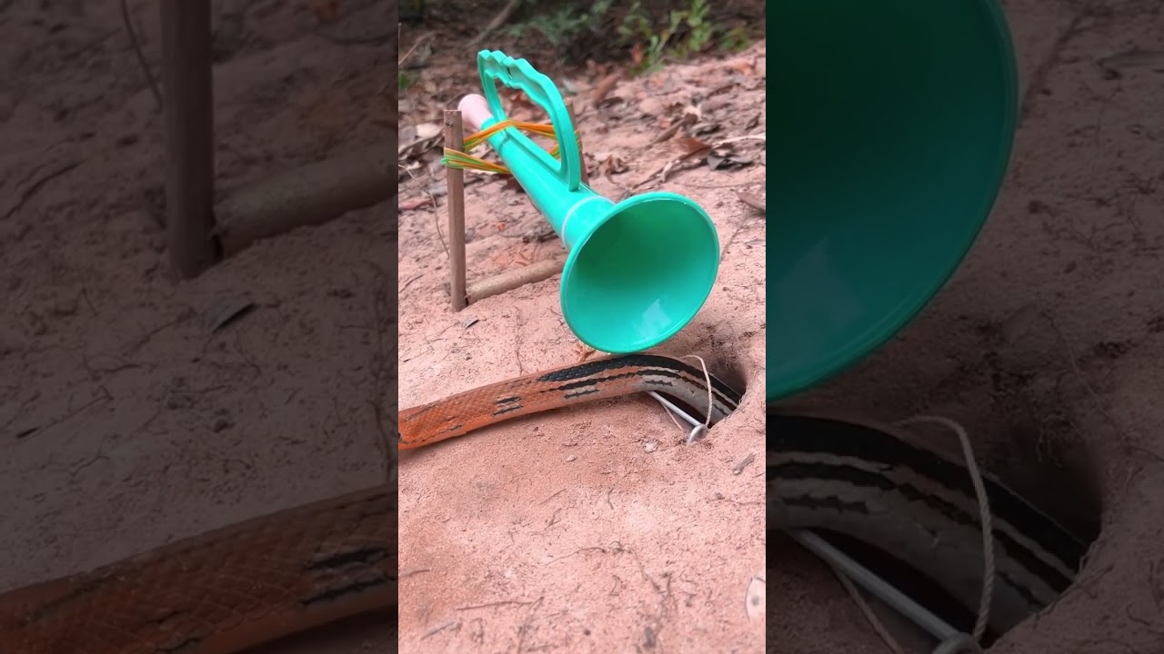 Easy DIY Snake Trap using speaker  