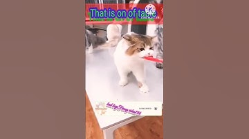 Funny video viral short short😂😂😭😱🤣😜🤪 #viral #funny #omg social experiment.#YouTube shot