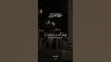 ❤️‍🩹#خشوع#راحة_نفسية #تلاوة_هادئة #قرآن_كريم #طمأنينة #❤️‍🩹