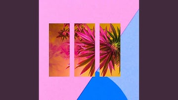 Wondrous Moods for Coffee Relief