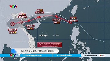 Bão Wipha đã đi vào Biển Đông trở thành cơn bão số 3 năm 2025 | VTVWDB
