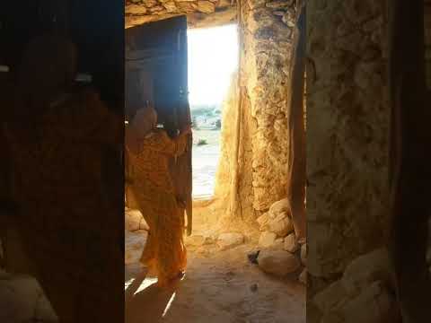 أفافا ينوفا