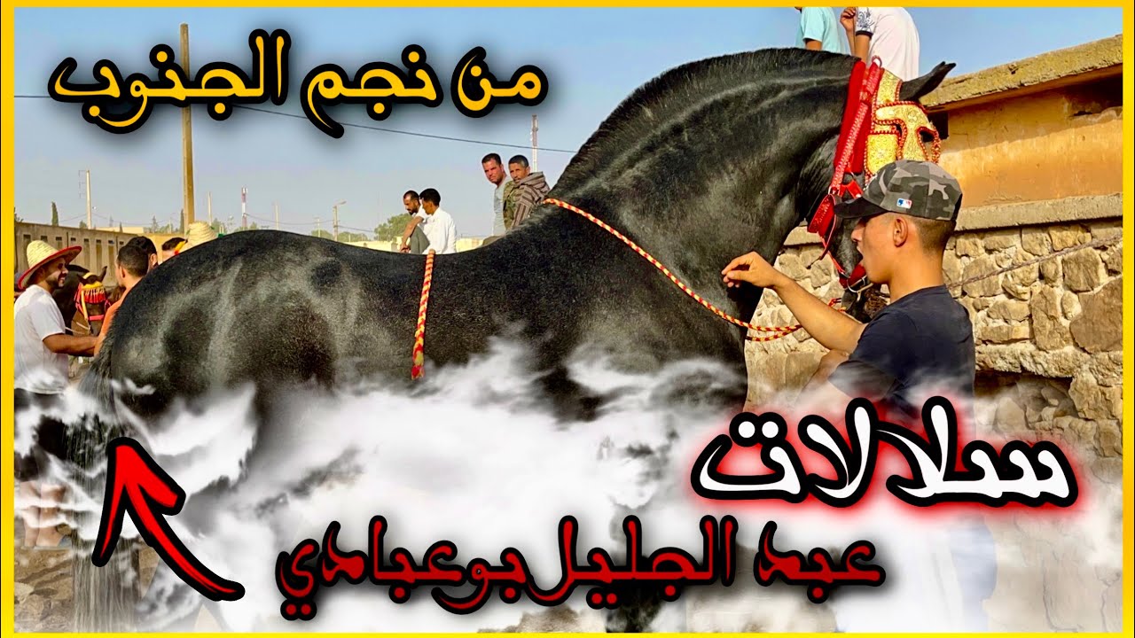 الله الله مباشرة من سوق الاربعاء الكفاف بتاريخ12/7/2023,تبارك الله سوق مليح