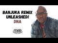 1476 Banjuka Remix Unleashed DNA Dna Misterdreams ThePlayHouse