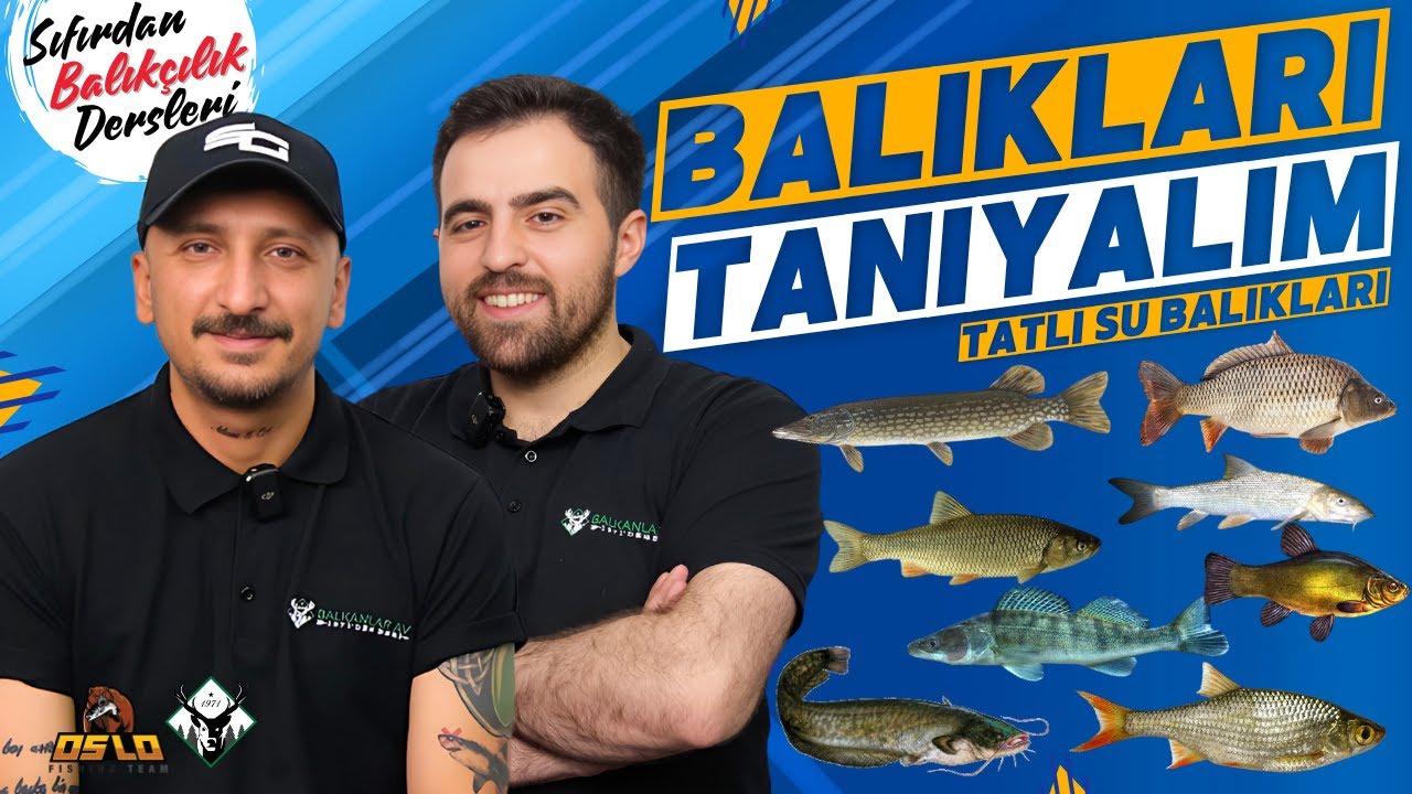 Sıfırdan Balıkçılık Dersleri #10 | Tatlı Sularımızdaki Balıkları Tanıyalım