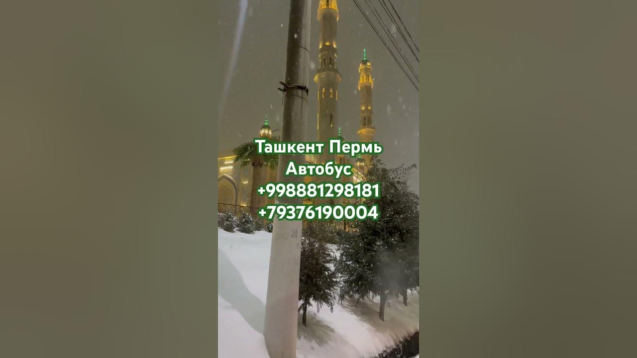 Ташкент Пермь Автобус Прямой Рейс #оренбург #уфа #казань #екатеринбург ...
