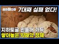 지하 토굴까지 만들어 저장한다│무려 7대 가업을 잇는 엄청난 약재의 정체│국가중요농업유산 13호│고향민국│완주│#골라듄다큐