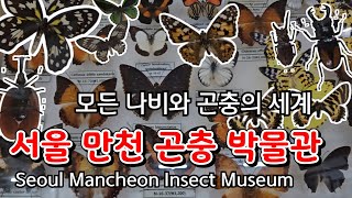 만천곤충박물관 영상