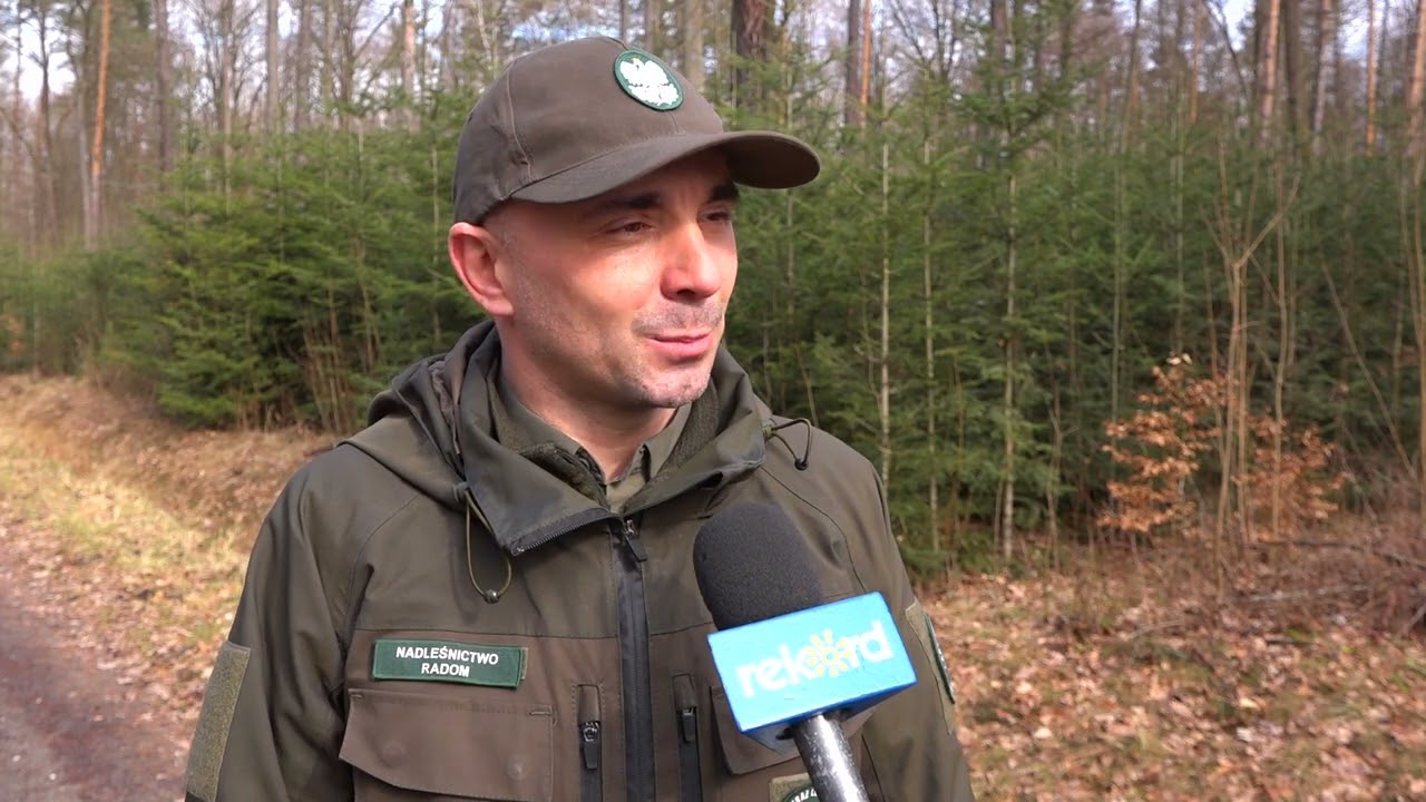 Akcja „Wieniec” w lasach