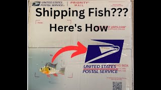 How to Ship Fish Through the Mail Quickly, Easily, and Safely
