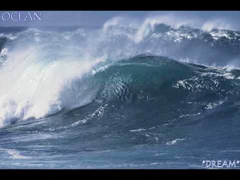 OCEAN - 