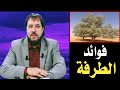 الدكتور ابو علي الشيباني // فوائد الطرفة