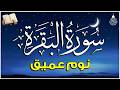 سورة البقرة طاردة الشياطين قران كريم بصوت جميل ومريح جدا تلاوة هادئة للنوم والراحة النفسية سورة البقرة طاردة الشياطين قران كريم بصوت جميل ومريح جدا تلاوة هادئة للنوم والراحة النفسية