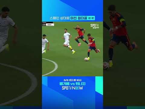 스페인 상대로 미친 원더골 ㄷㄷㄷ