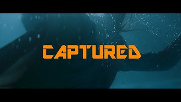Captured   (Best Title Sequence 2022 Nominee) Filmsupply EditFest 2022
